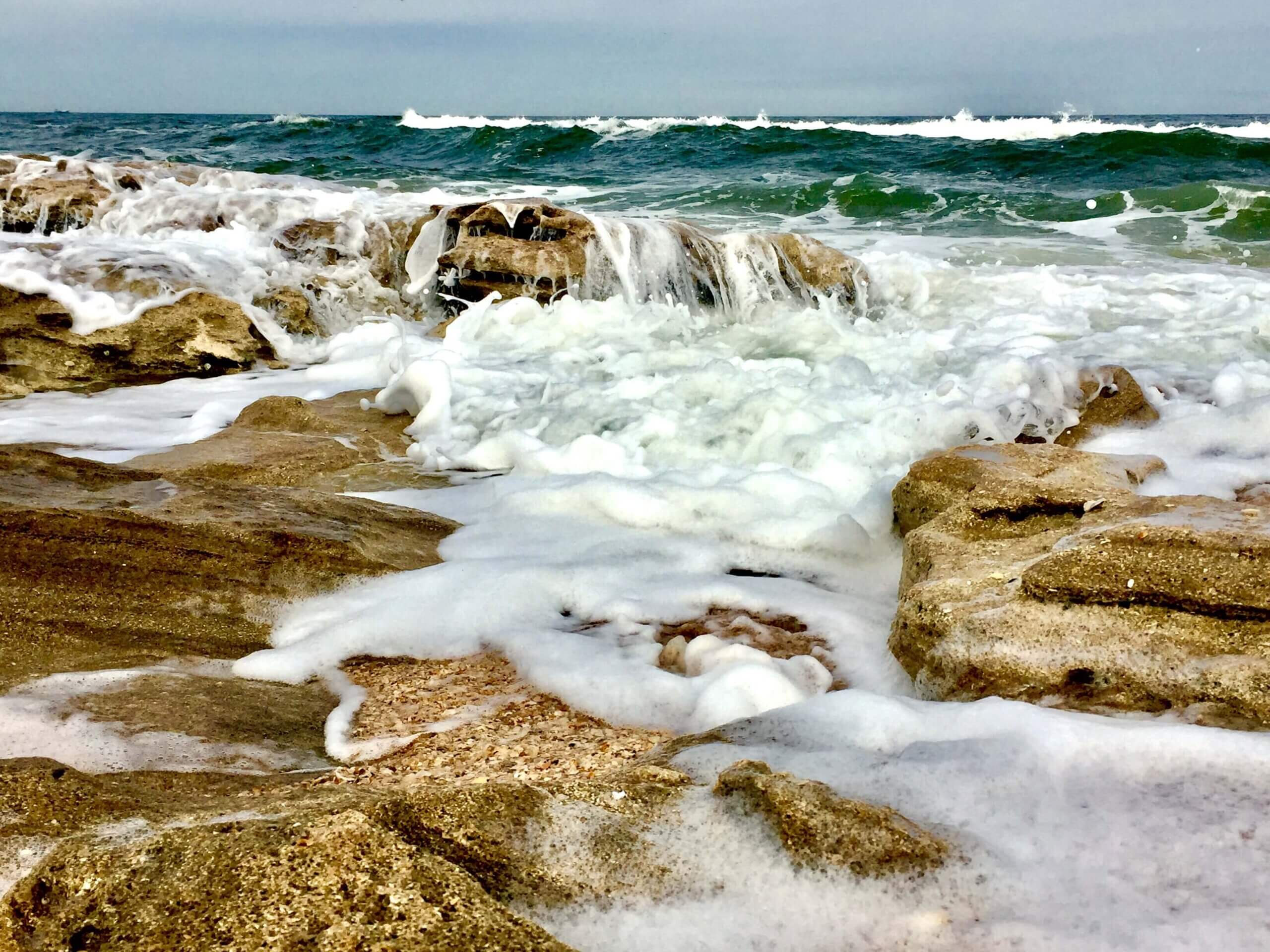 washington-oaks-state-park-coquina-shoreline