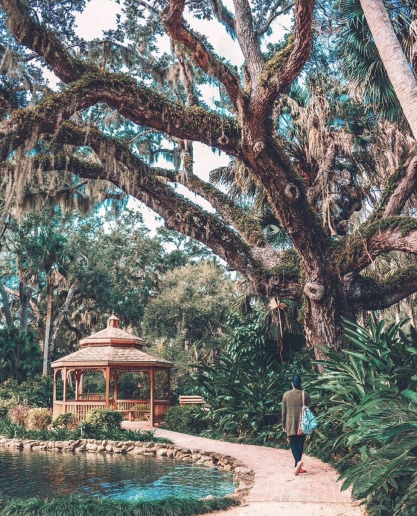 Large live oak tree overhanging person walking on walkway towards cabana, passing teal water pond