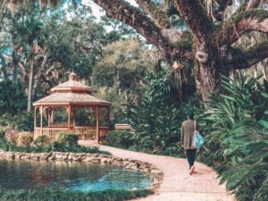 Large live oak tree overhanging person walking on walkway towards cabana, passing teal water pond