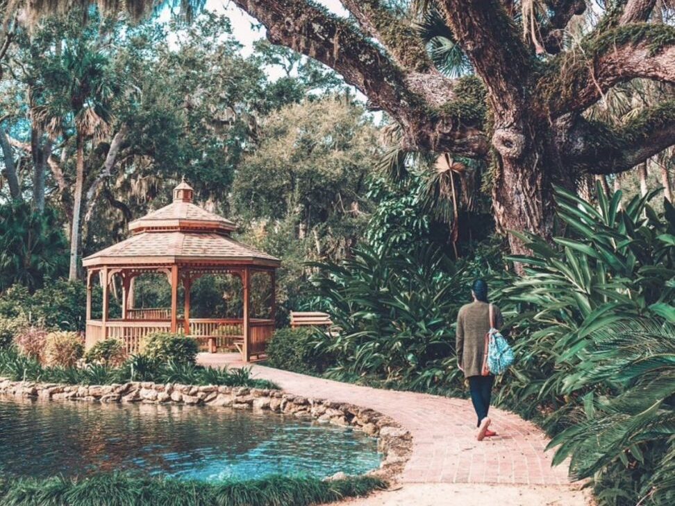 Large live oak tree overhanging person walking on walkway towards cabana, passing teal water pond